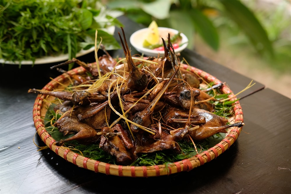 Đặc sản chim to dần
